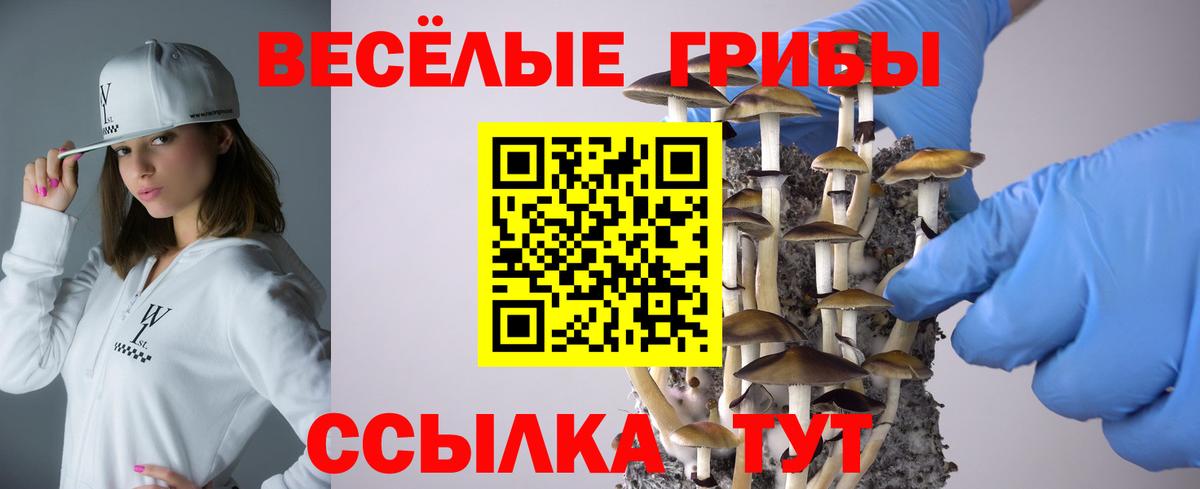 Оренбург  Псилоцибиновые грибы ЛСД  Псилоцибиновые грибы MAGIC MUSHROOMS  Вход с VPN 